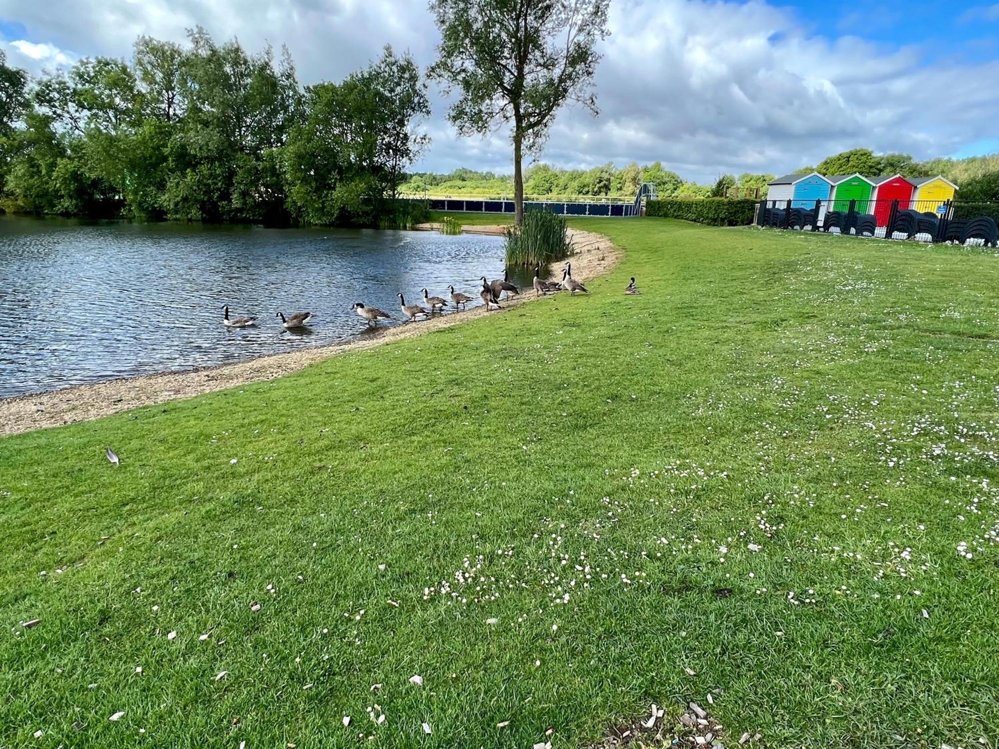 Bluebell Lodge, Dog Friendly サウス・サーニー エクステリア 写真